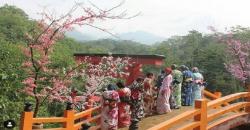 Indahnya Gunung Muria dari The Hills Vaganza, Spotnya Mirip di Jepang