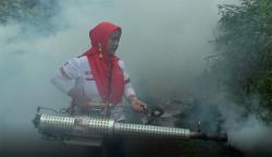7 Caleg Perindo Turun Langsung Fogging Daerah Endemis DBD di Semarang