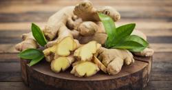 Manfaat Minum Jahe bagi Kesehatan, Tak Sekadar Menurunkan Berat Badan