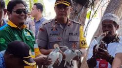 70 Penyu Sisik Dilepasliarkan di Pantai Tuturuga Raja Ampat