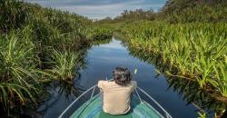 Jelajahi Tanjung Puting, Lihat Orangutan di Sungai yang Mirip Amazon