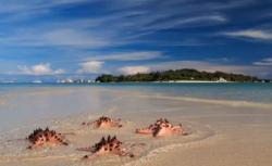 Yuk Jelajahi Pulau Pasir di Belitung, Muncul saat Air Laut Surut 