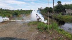 Fogging Caleg Partai Perindo Asapi Ratusan Rumah di Paser Kaltim