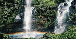 Pilihan Wisata Air Terjun di Bali, Terlihat Eksotis karena Kembar 3