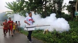 Bantu Warga Puuwatu Kendari, Caleg Perindo Gelar Fogging