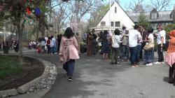 Berikan Suara untuk Pilpres, Ribuan WNI di AS Memilih Secara Serentak