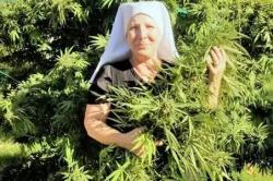 Wow, Biarawati AS Ini Raup Rp14 Miliar Setahun dari Menjual Ganja