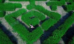 Wisata Kebun Indrokilo Boyolali, Ada Taman Labirin yang Lagi Viral