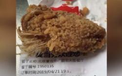 Heboh, Restoran Cepat Saji Hidangkan Ayam Goreng yang Masih Berbulu