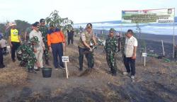 Bandara YIA Terancam Tsunami, BNPB Tanam Ribuan Pohon Cemara dan Pule