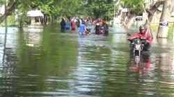 Kali Lamong Meluap, Banjir Rendam 3 Kecamatan di Gresik