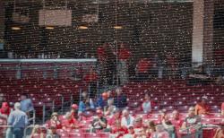 Pemain dan Penonton Dikejar Lebah, Pertandingan Baseball Liga Utama AS Ditunda