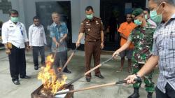 BNN dan Satgas Pamtas Yonif 328 Musnahkan 600 Gram Ganja di Jayapura