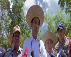 Jokowi Blusukan ke Calon Ibu Kota di Kabupaten Gunung Mas, Ini Keunggulannya