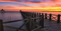 Wisata di Pantai Bentar Probolinggo Bisa Lihat Hiu Tutul yang Langka