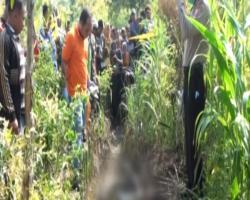 Petani Mojokerto Dihebohkan Penemuan Mayat Terbakar di Kebun Jagung
