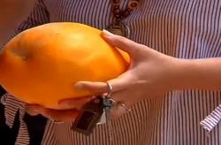 Timun Suri, Buah Musiman yang Banyak Diburu untuk Menu Berbuka