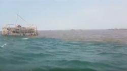 Heboh Fenomena Laut Terbelah Jadi 2 Warna dari Pasuruan hingga Sidoarjo