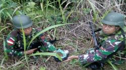 Sweeping Jalan, Satgas Pamtas Yonif PR 328 Amankan 400 Gram Ganja di Papua