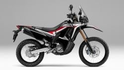 Dipermak Lebih Macho, Honda CRF250 Rally Punya Varian 2 Warna Baru