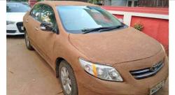 Kabin Kendaraan Ingin Dingin, Pria di India Balurkan Kotoran Sapi di Mobil 