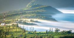 Spot Eksotis Menikmati Sunrise Bromo, Jelajahi Puncak Cemoro Lawang