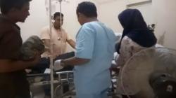 Warga Padanglawas Masih Kritis Diserang Harimau, BKSDA Siapkan Tim Pemburu