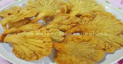 Buka Puasa dengan Jamur Krispi, Rasanya Gurih dan Renyah