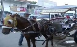 Sebabkan Kemacetan, Delman Dilarang Beroperasi 14 Hari di Jalur Nagreg