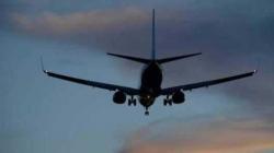 Selundupkan 5.000 Lintah Hidup Dalam Koper, Pria Kanada Didenda Rp216 Juta