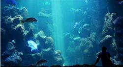 Sejumlah Destinasi Wisata di Jakarta Buka di Hari Kedua Lebaran