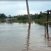 Banjir 2 Meter Rendam 5 Kecamatan di Pidie Jaya, Warga Terisolasi<