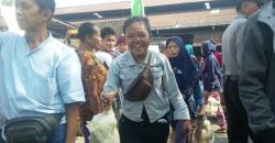 Harga Ayam Anjlok, Peternak Rakyat di Jawa Tengah Menjerit