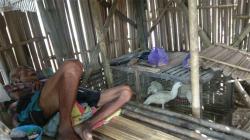 Kakek Sebatang Kara di Pekalongan Tinggal di Kandang Itik dengan Kondisi Sakit