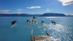 Lautan Es di Greenland Meleleh Tak Lazim, Peneliti Ingatkan Dampaknya ke Dunia