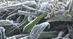 Video Fenomena Alam di Gunung Bromo Tanaman Membeku Minus 1 Derajat