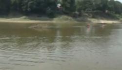 Sungai Bengawan Solo Berubah Warna dan Bau, Diduga Tercemar Limbah Potong Hewan
