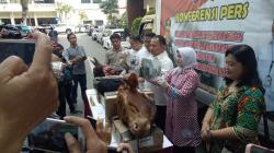 Polda Jatim Amankan Lebih dari 6 Ton Daging Sapi Impor Ilegal dari Australia