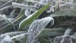 Video Antusias Wisatawan Saksikan Embun Es di Dataran Tinggi Dieng