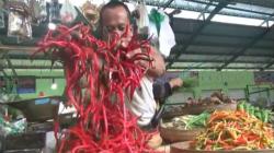 Harga Cabai Naik hingga Rp120.000/Kg di Tuban, Lebih Mahal dari Daging Sapi