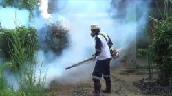 80 Warga Pasarean Bogor Menjadi Suspect Cikungunya