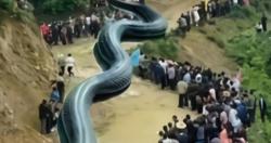 Sebut Gempa di China Disebabkan Naga Raksasa, Pria Ini Ditangkap Polisi