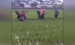 Video Amatir Polisi Tembak Mati Pencuri Mobil di Surabaya