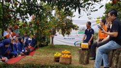 Mengenal Bujangseta, Teknologi yang Bikin Tanaman Jeruk Berbuah sepanjang Tahun