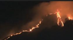 Kebakaran Hutan di Gunung Panderman Kota Batu Meluas hingga 60 Hektare