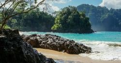 Tersembunyi di Banyuwangi, Intip Pantai Teluk Hijau Eksotis Bergradasi Biru