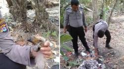 Remaja Penembak Burung Elang Bido Santap Sendiri Hasil Buruannya