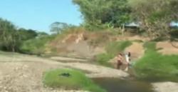 Begini Kondisi Tanaman Padi di Karawang Rusak dan Mengering akibat Kemarau