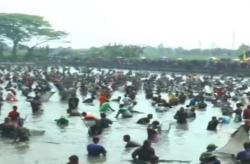 Video Keseruan Warga Klaten Berebut 2 Ton Ikan di Kolam