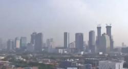 Pemerintah DKI Jakarta Berencana Bagikan Tanaman Lidah Mertua Tekan Polusi Udara